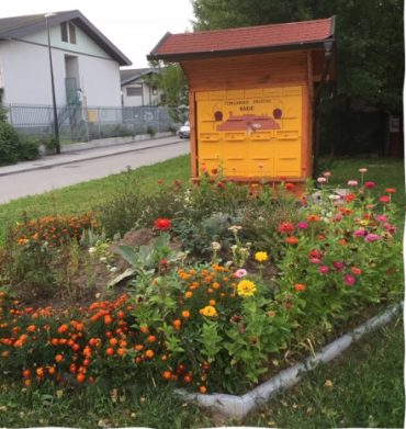 Čebelnjak pri OŠ Livada (od l. 2017)