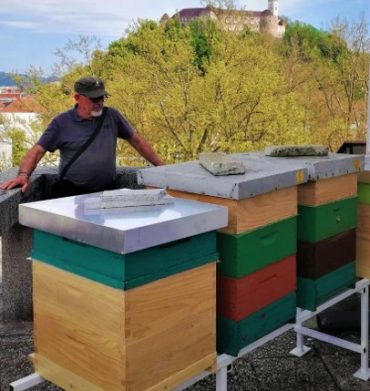 Plečnikov čebelnjak na Grajskem griču